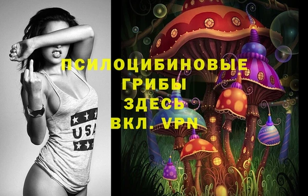 Альфа ПВП Артём