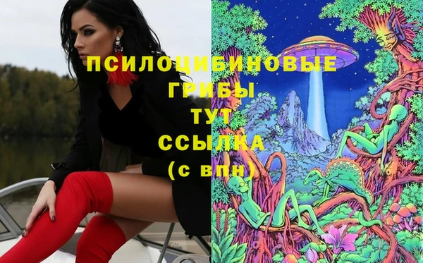 таблы Армянск