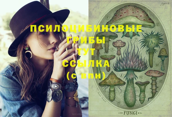 МДМА Алексеевка