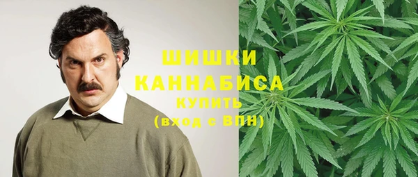 ешки Бердск