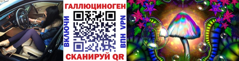 дарнет шоп Бакал Галлюциногенные грибы Cubensis